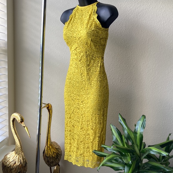 Zara Yellow Lace Overlay Dress - Picture 6 of 15